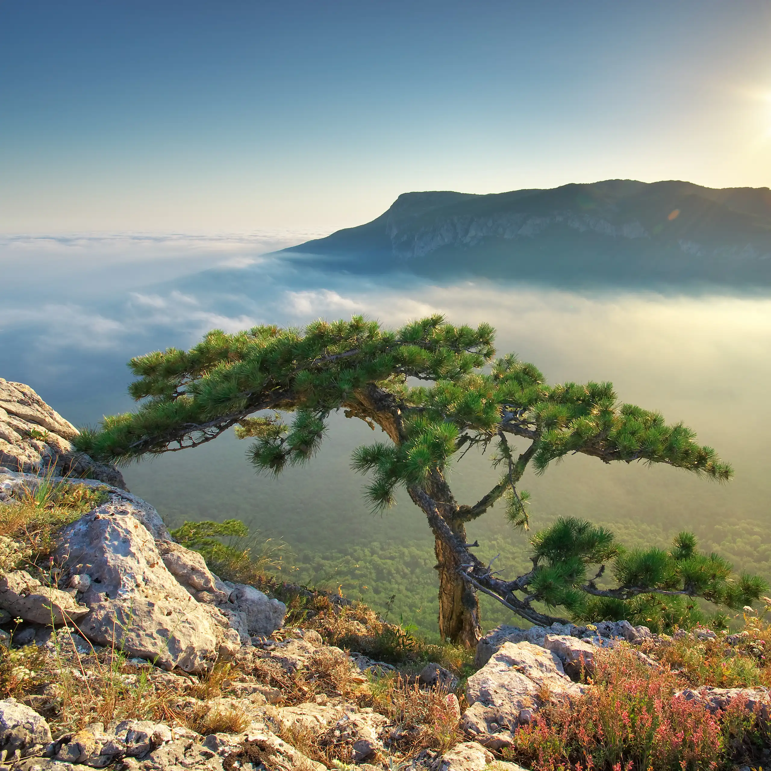 mountain-landscape-2560x2560